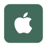 iOS icon